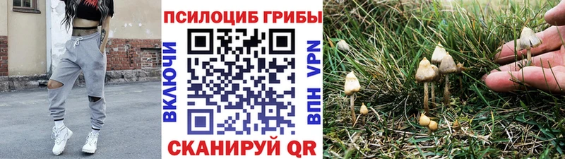 Галлюциногенные грибы MAGIC MUSHROOMS Лосино-Петровский