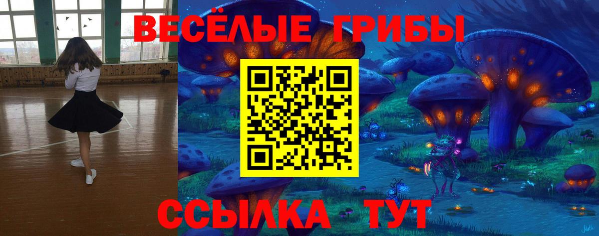 Галлюциногенные грибы Cubensis Лосино-Петровский