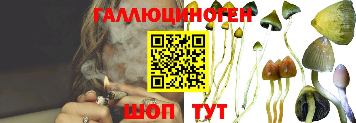 Лосино-Петровский  Псилоцибиновые грибы мицелий  Вход с VPN 